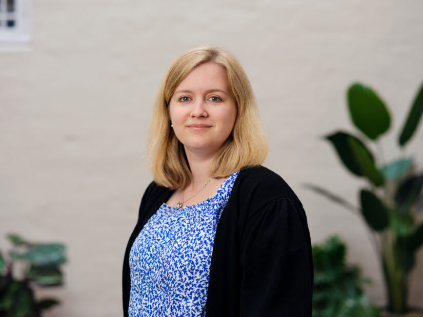 Marit Torp, Webutvikler