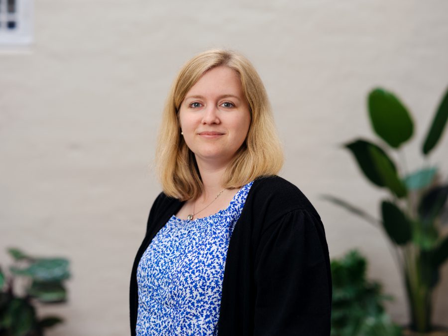 Marit Torp, Webutvikler