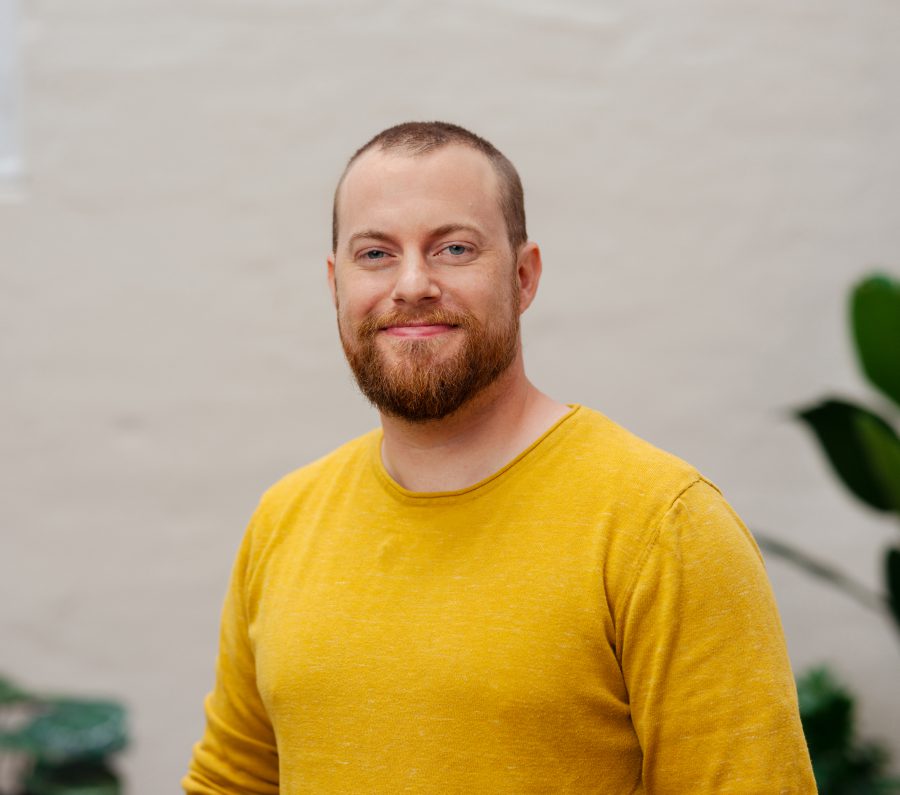 Thomas S. Johannessen, Fagleder utvikling