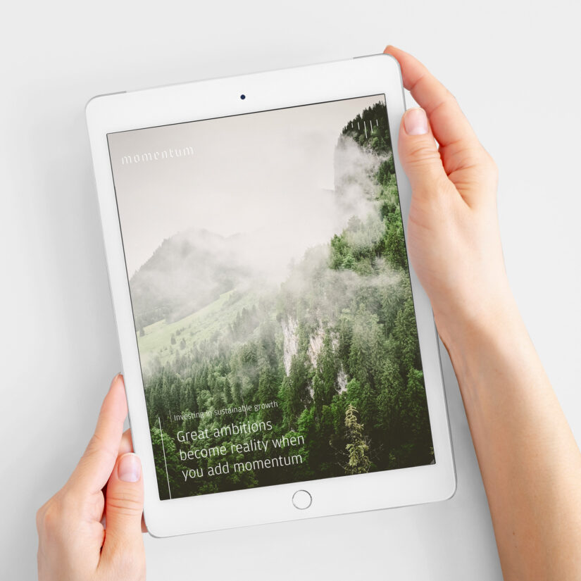 Craft CMS nettside for Momentum Partners