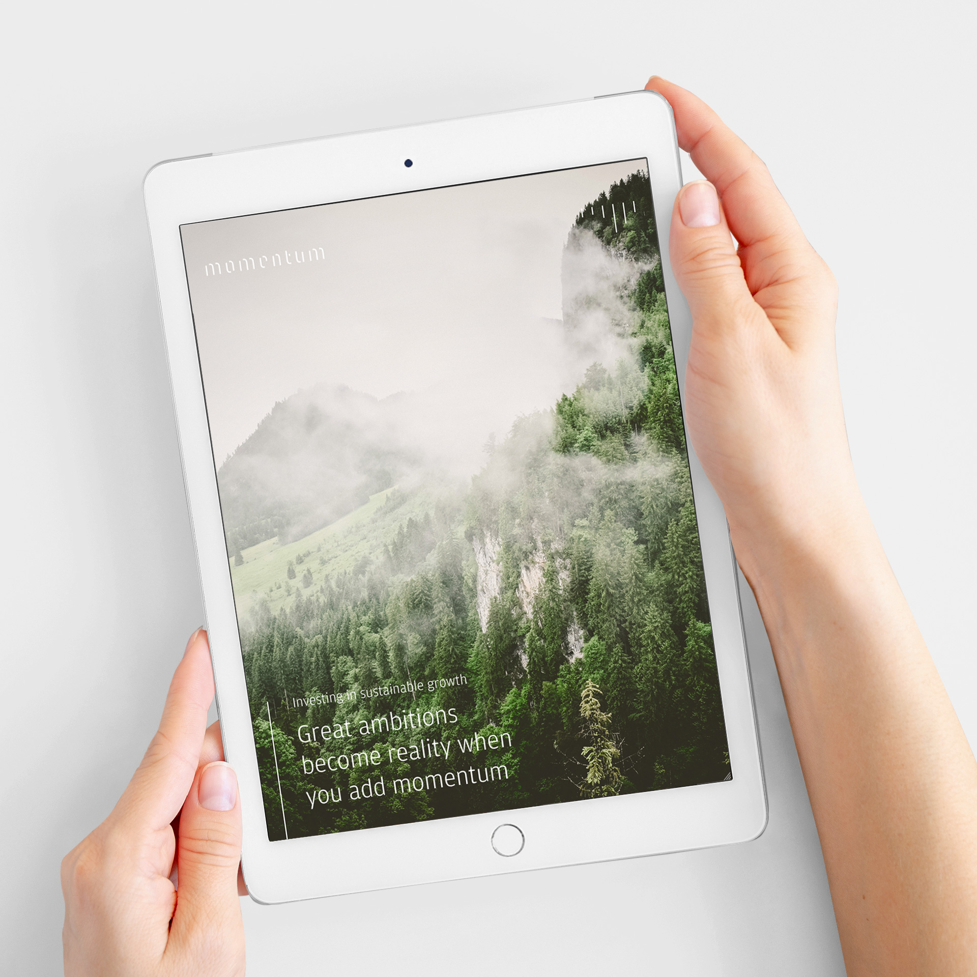 Craft CMS nettside for Momentum Partners