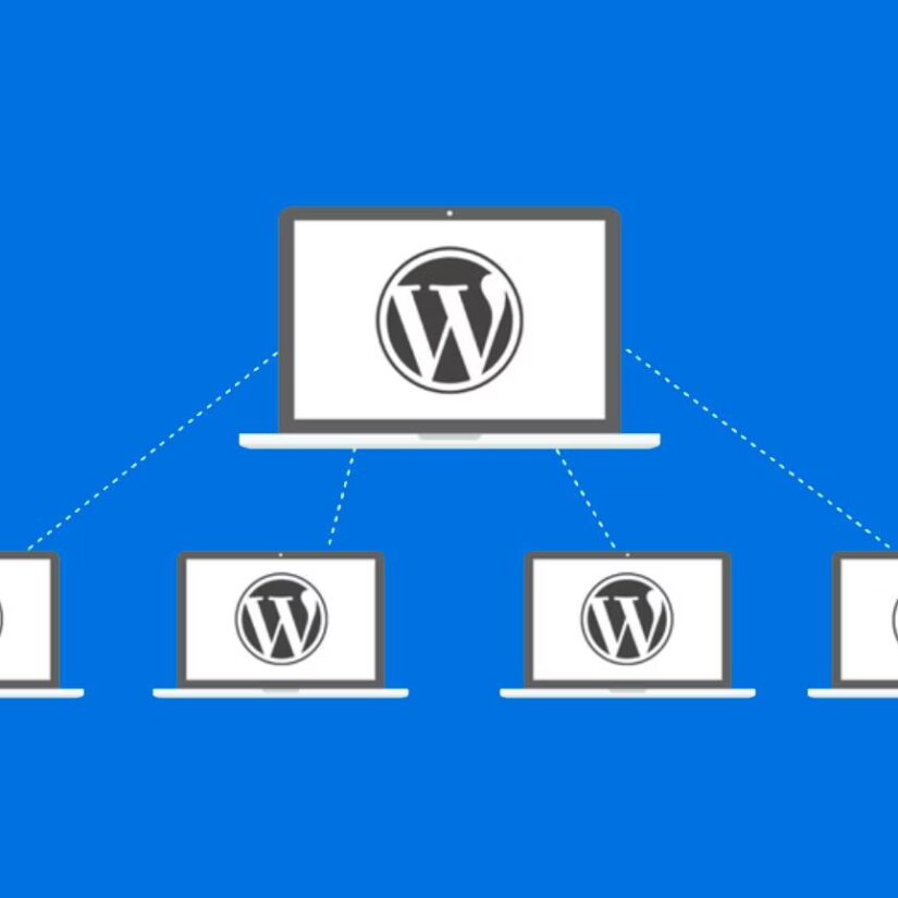 Wordpress Multisite